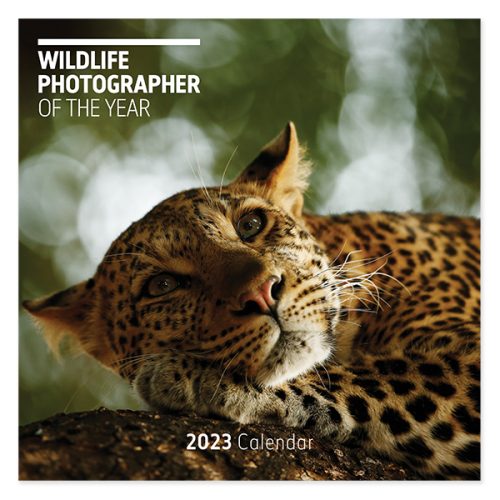 C23035 Wildlife Photographer of the Year Square calendar