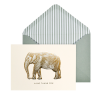 Big Elephant Boxed Notecards - Image 2