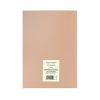 AST2203 Alice Scott  A5 Notebook - World - Image 3