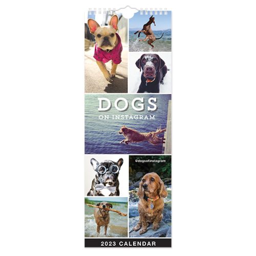 C23058 Dogs on Instagram Slim Calendar