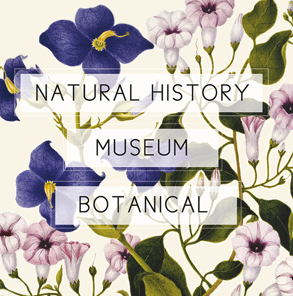 Dated Natural History Museum Botanical 2023