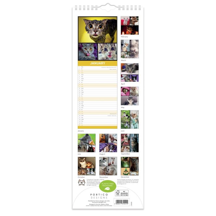 C26028 Cats on Instagram Slim 2026 Calendar - Image 2