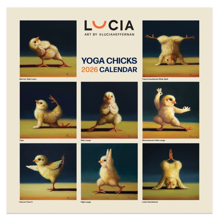 C26098 Yoga Chicks Square 2026  Calendar