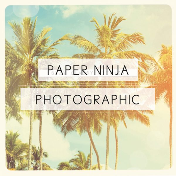 Paper Ninja Photographic