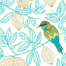European Bee-eater Bird