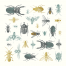Insects