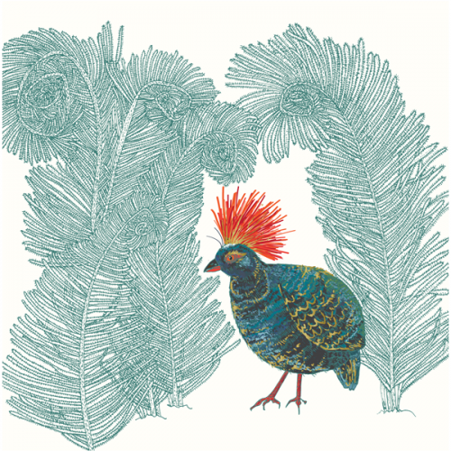 Roul-roul Partridge Bird