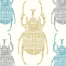 Stag Beetle